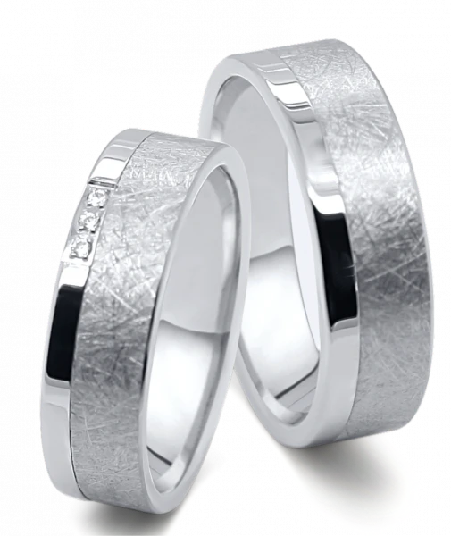 Titanringe AB4830+4831