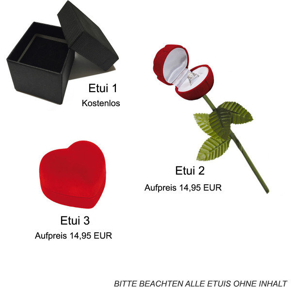 Schwarzes Ring Etui