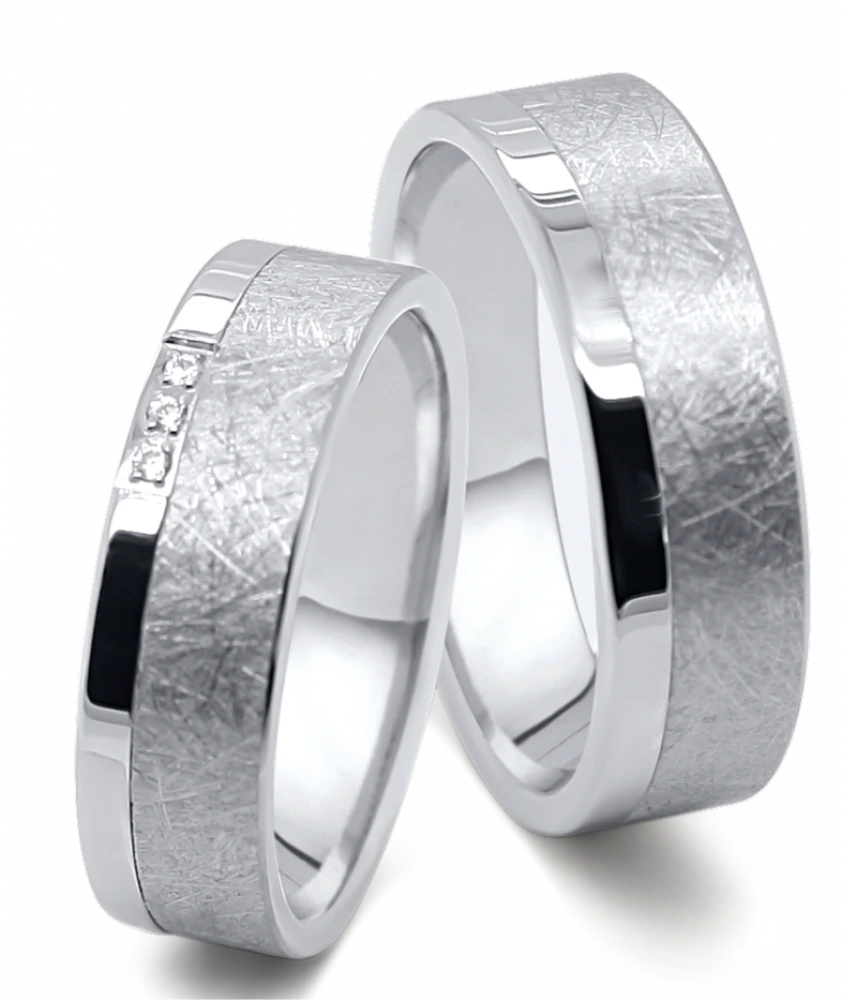 Titanringe AB4830+4831