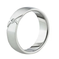 Mobile Preview: Damenring Titan AB1596