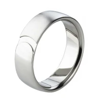 Mobile Preview: Herrenring Titan AB1599