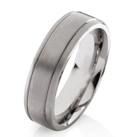 Mobile Preview: Titanring PT017 mit mattierter Oberfläche